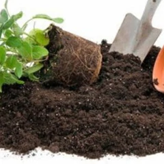 Szerves tápok- virágföldek