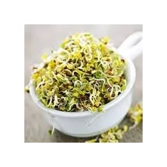 Étkezési csíra, csíráztató edény, mikrozöld