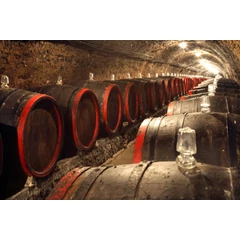 Borászat, tartósítás Borászat, tartósítás