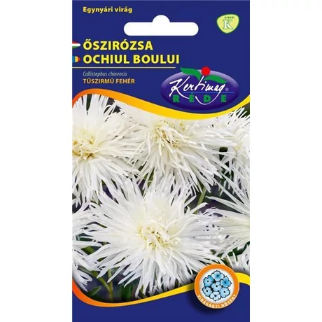 DÍSZNÖVÉNY ŐSZIRÓZSA RÉDEI KERTIMAG tűszírmú fehér