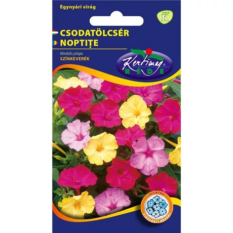 DÍSZNÖVÉNY CSODATÖLCSÉR RÉDEI KERTIMAG SZÍNKEVERÉK