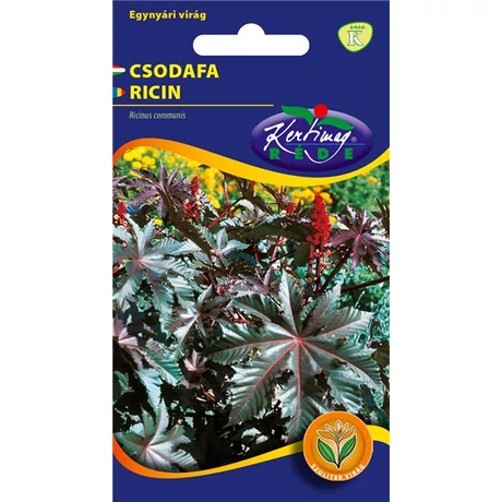 DÍSZNÖVÉNY CSODAFA ( RICINUS ) RÉDEI KERTIMAG PIROSLEVELŰ