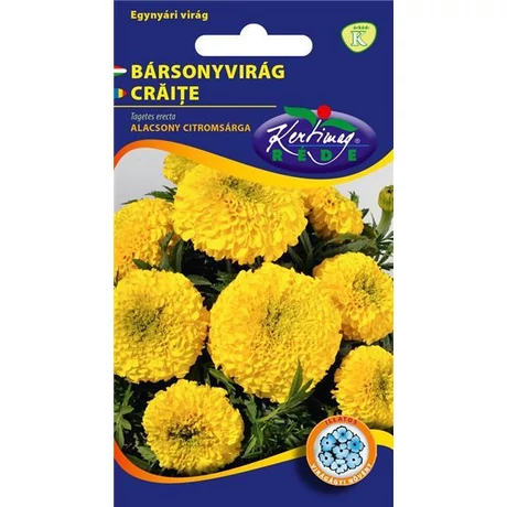 DÍSZNÖVÉNY BÁRSONYVIRÁG RÉDEI KERTIMAG nagyvirágú, alacsony,citromsárga