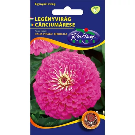 DÍSZNÖVÉNY LEGÉNYVIRÁG RÉDEI KERTIMAG BÍBORLILA