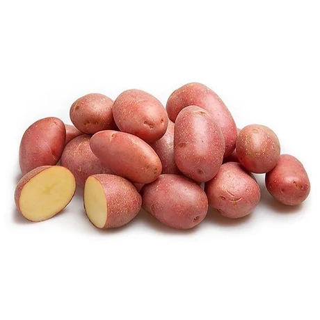 VETŐBURGONYA RÉDEI KERTIMAG RED SCARLETT 50 szem, hálós