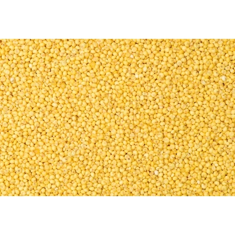 MADÁRELESÉG SÁRGA KÖLES 20kg