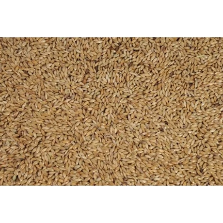 MADÁRELESÉG FÉNYMAG 20kg