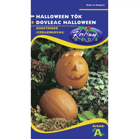 DÍSZNÖVÉNY DÍSZTÖK RÉDEI KERTIMAG Ghostrider, Halloween tök