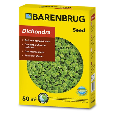 TALAJTAKARÓ BARENBRUG Dichondra repens-pázsitszulák vetőmag 0,5 KG 50m2