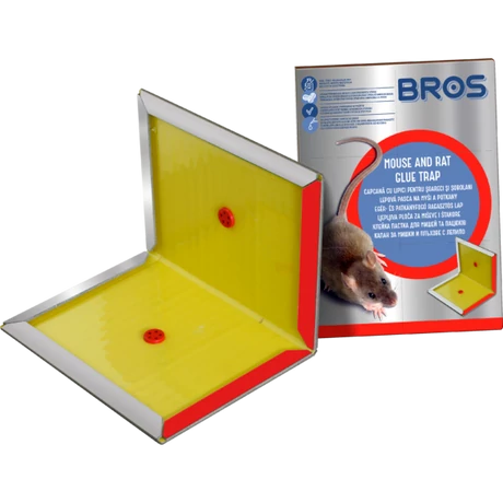 BROS RAGASZTÓS LAP