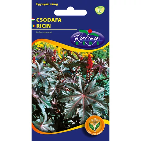 DÍSZNÖVÉNY CSODAFA ( RICINUS ) RÉDEI KERTIMAG PIROSLEVELŰ