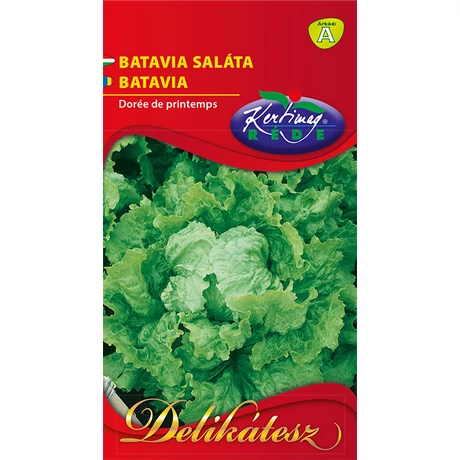 SALÁTA RÉDEI KERTIMAG BATÁVIA 2g