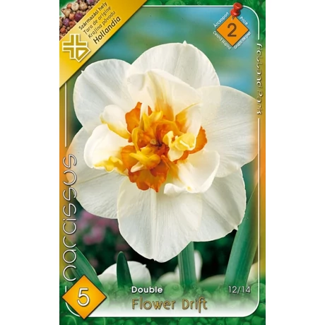 VIRÁGHAGYMA NÁRCISZ Narcisuss Flower Drift 5db/cs 12/14