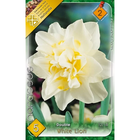 VIRÁGHAGYMA NÁRCISZ Narcisuss White Lion 5db/cs 12/14