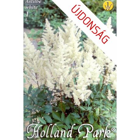 VIRÁGHAGYMA Astilbe fehér