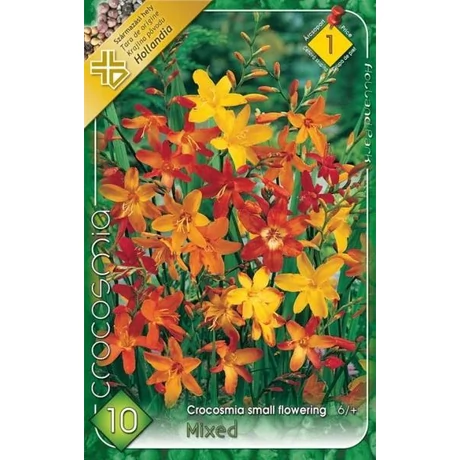 VIRÁGHAGYMA SÁFRÁNYFŰ KISVIRÁGÚ SZÍNKEVERÉK Crocosmia mix 10db/cs 6+