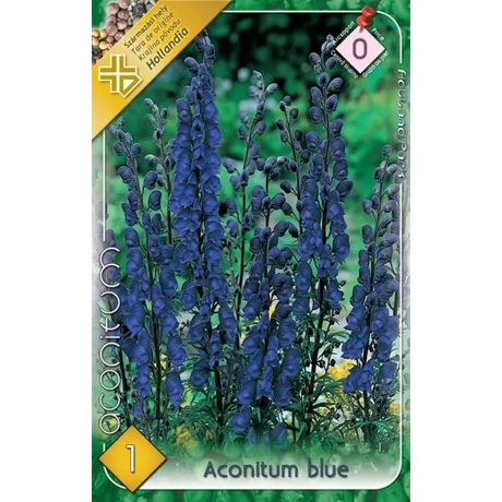 VIRÁGHAGYMA SISAKVIRÁG Aconitum 1db/cs