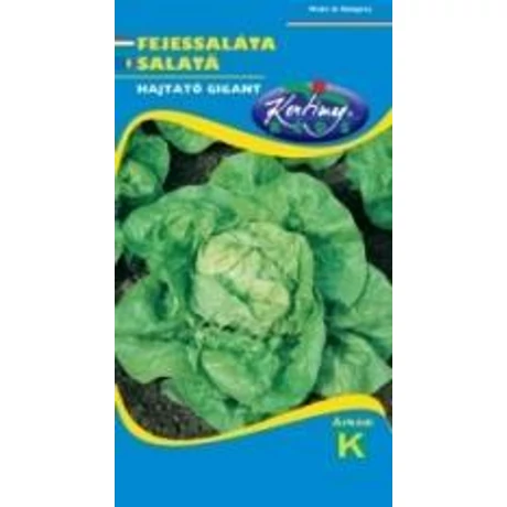 FEJESSALÁTA RÉDEI KERTIMAG HAJTATÓ GIGANT 2g