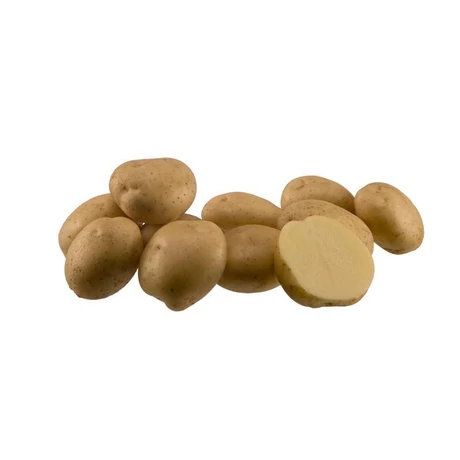 VETŐBURGONYA RÉDEI KERTIMAG SANTE 50 szem, dobozos,nem kezelt, biotermesztésre