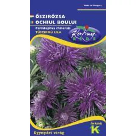 DÍSZNÖVÉNY ŐSZIRÓZSA RÉDEI KERTIMAG tűszirmú lila