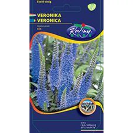 DÍSZNÖVÉNY VERONIKA RÉDEI KERTIMAG kék