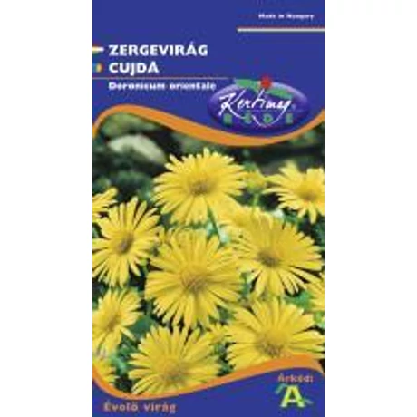 DÍSZNÖVÉNY ZERGEVIRÁG RÉDEI KERTIMAG aranysárga