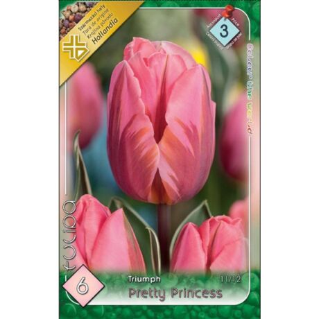 VIRÁGHAGYMA TULIPÁN Tulipa Pretty Princess 6db/cs 11/12
